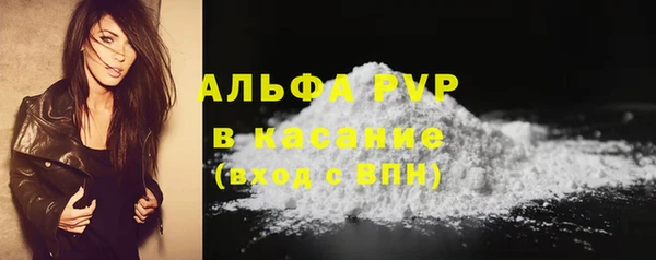 ГАЛЛЮЦИНОГЕННЫЕ ГРИБЫ Богданович