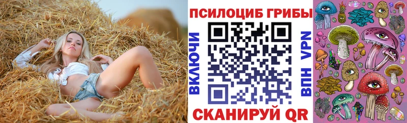 Галлюциногенные грибы Magic Shrooms  OMG ТОР  Гай  купить закладку 